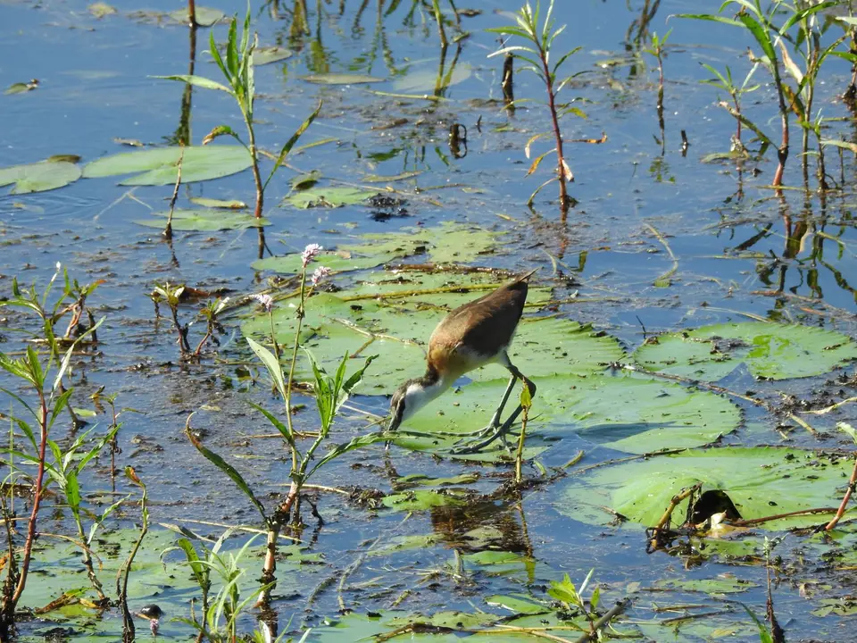DSCN5167.JPG