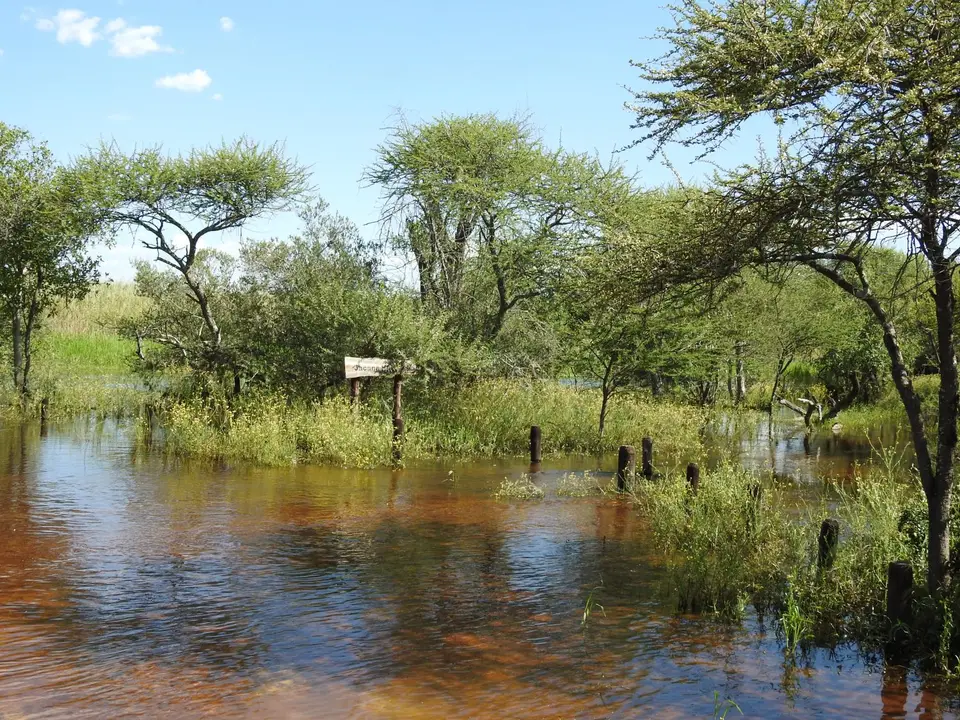 DSCN5173.JPG