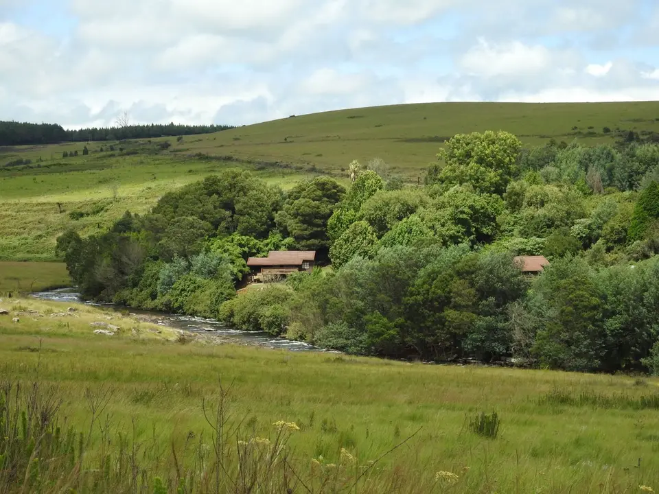 DSCN6178.JPG