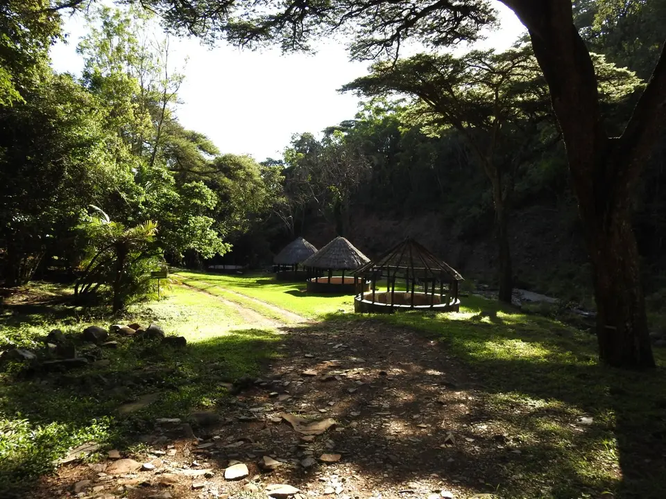 DSCN7040.JPG