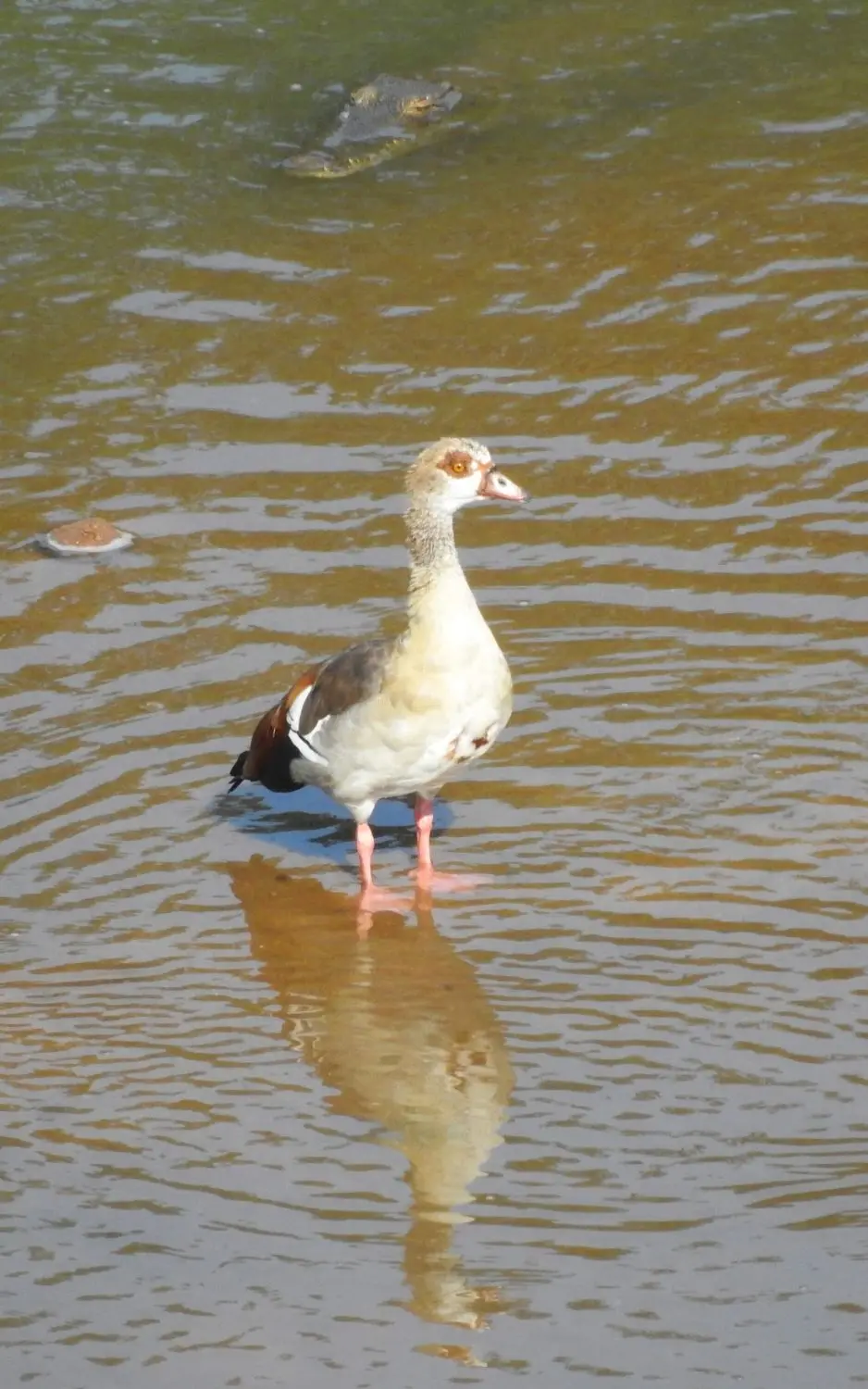 DSCN7547.JPG
