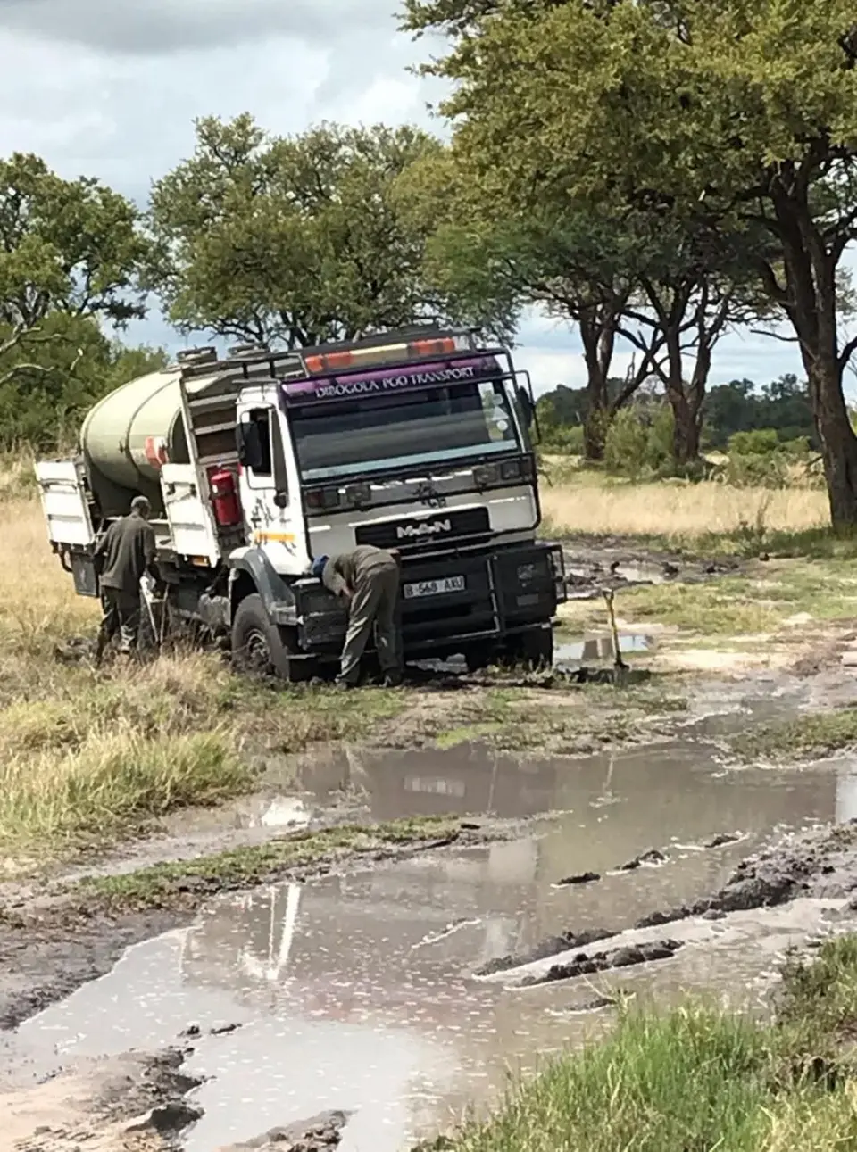 Moremi.jpg
