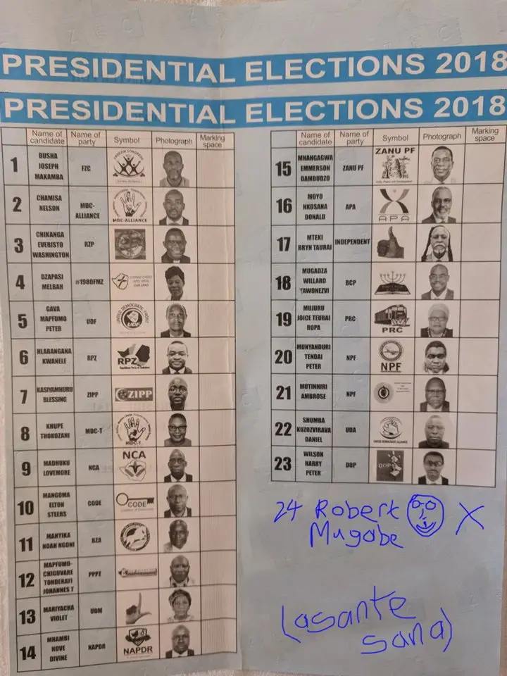 Mugabe30072018.jpg