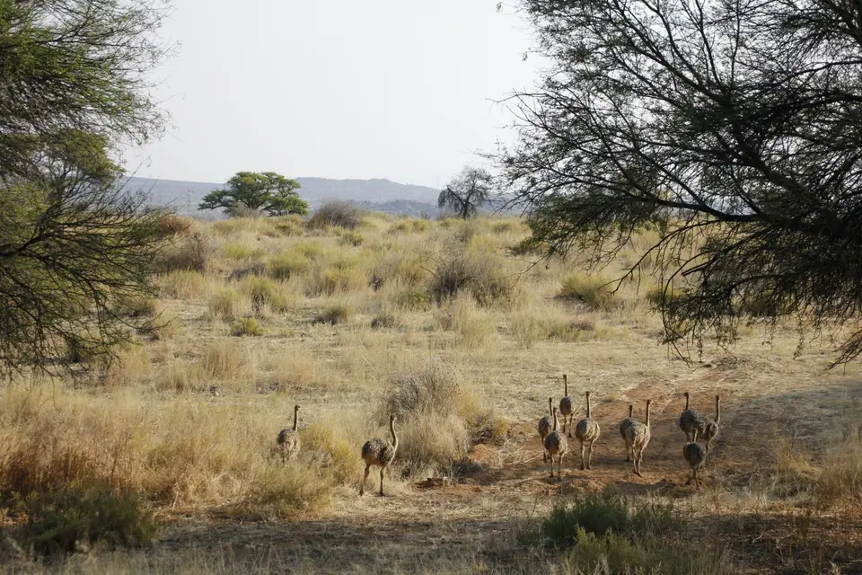 _MG_0037.JPG
