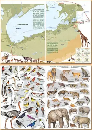 Etosha-Map2.jpg