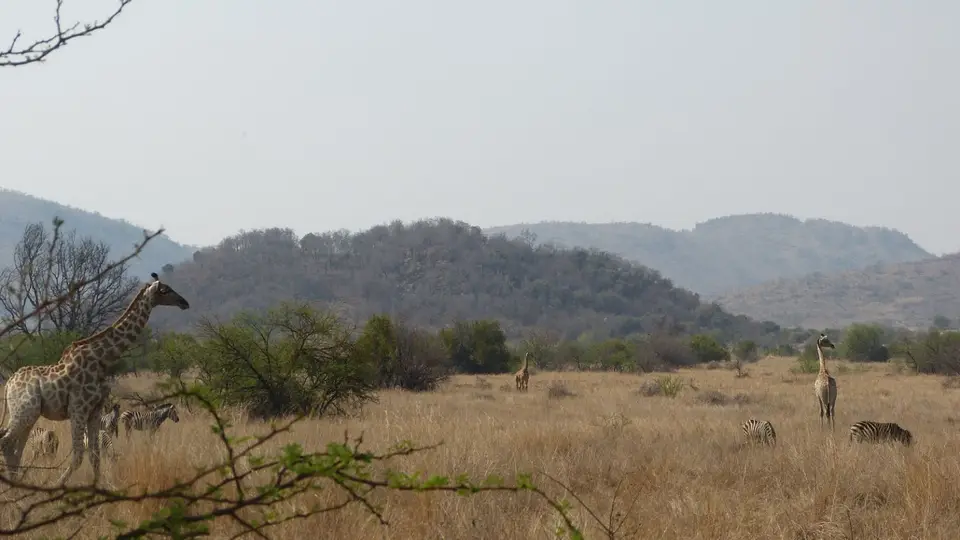 Maritane3.jpg