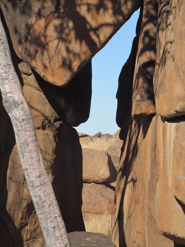 Namib_070b.jpg
