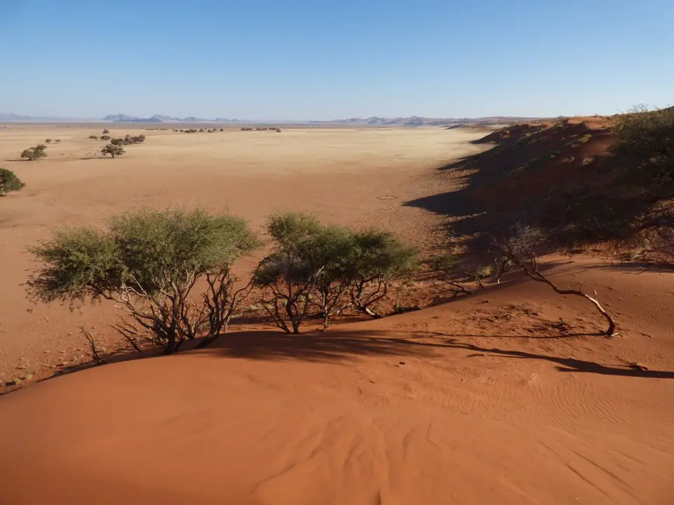 Namib_144_sm.jpg