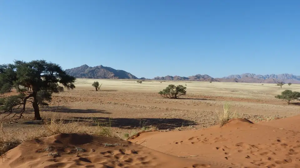Namib_151_sm.jpg