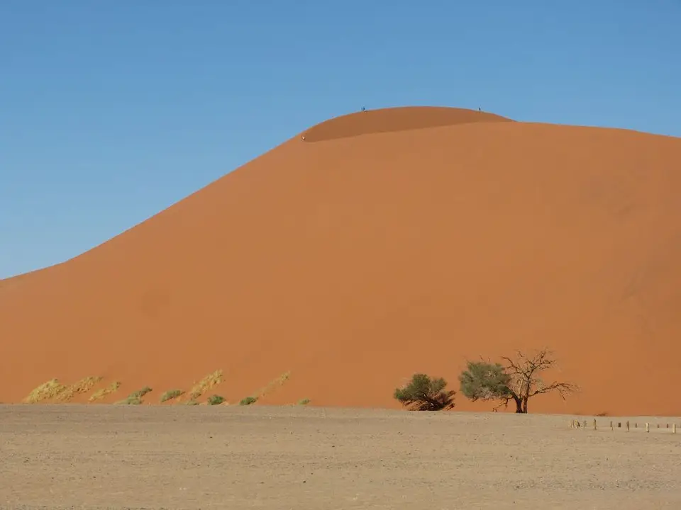 Namib_162_sm.jpg