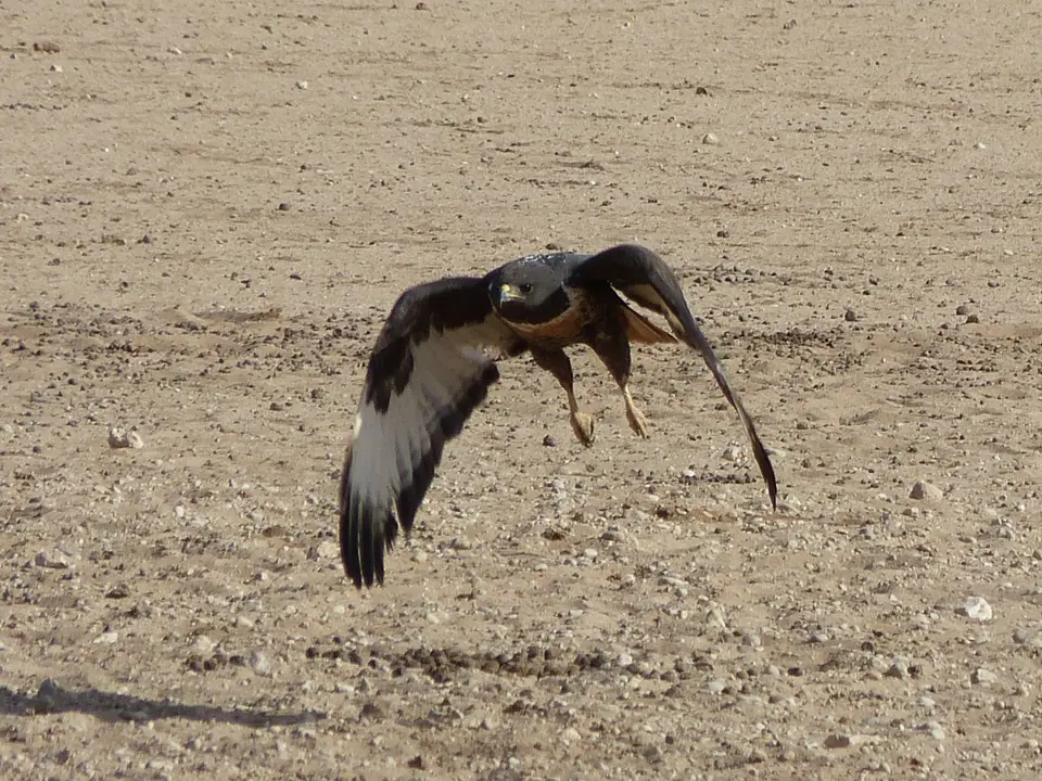 P1400855.JPG