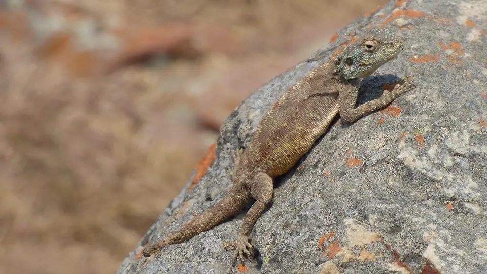 SA-2023_400.jpg