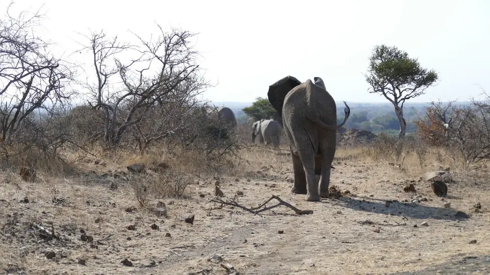 mapu5.jpg