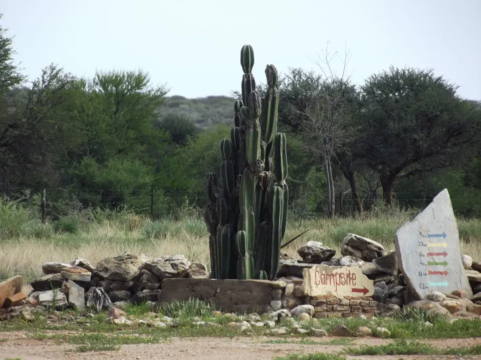 DSCF1039.JPG
