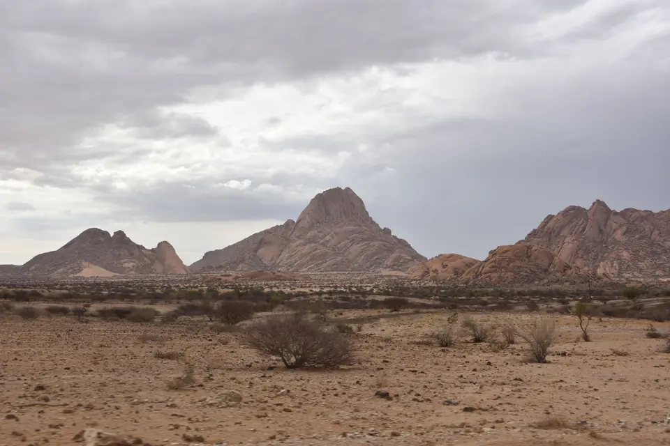 DSC_0439.JPG