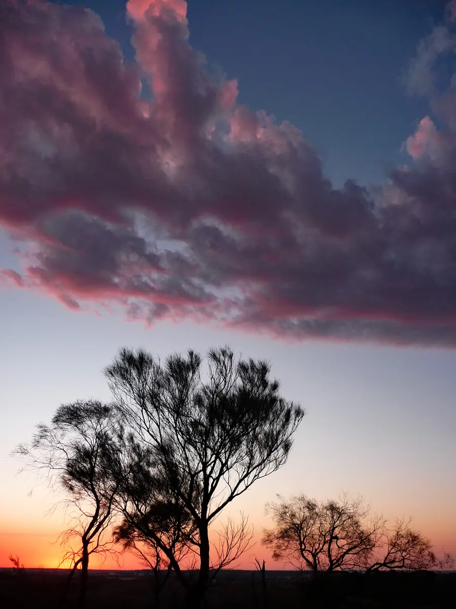 WA13.11.2009-2.jpg