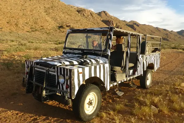 Zebra-Auto.JPG