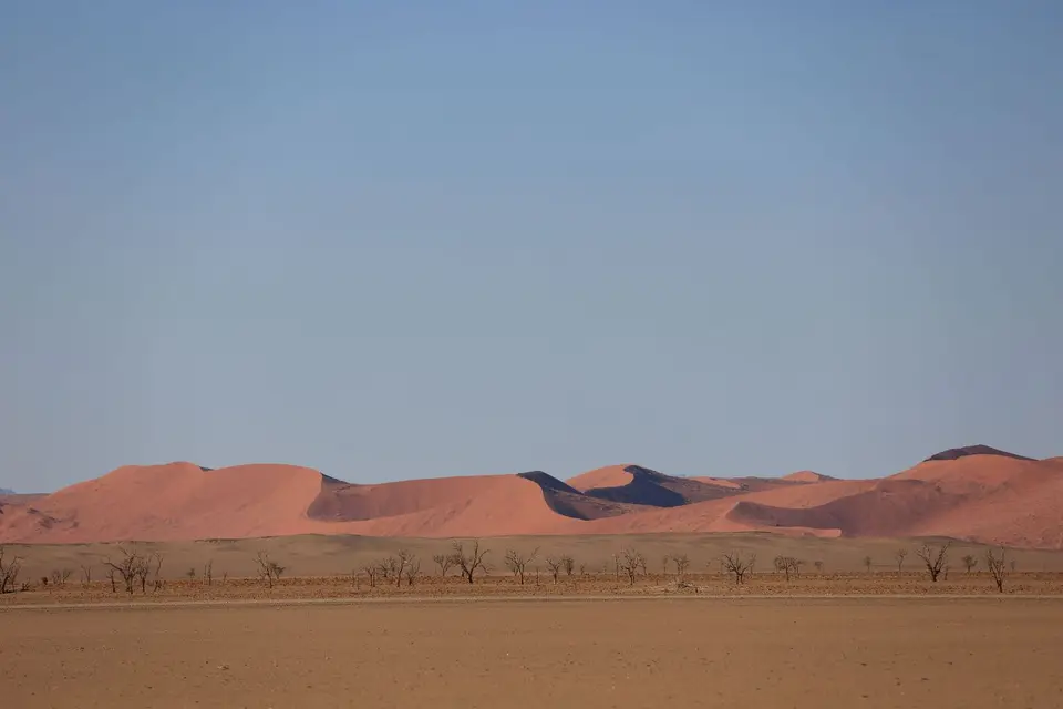 k-0000010445.JPG