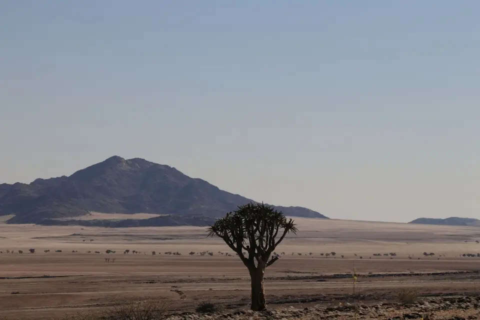 k-0000011045.JPG