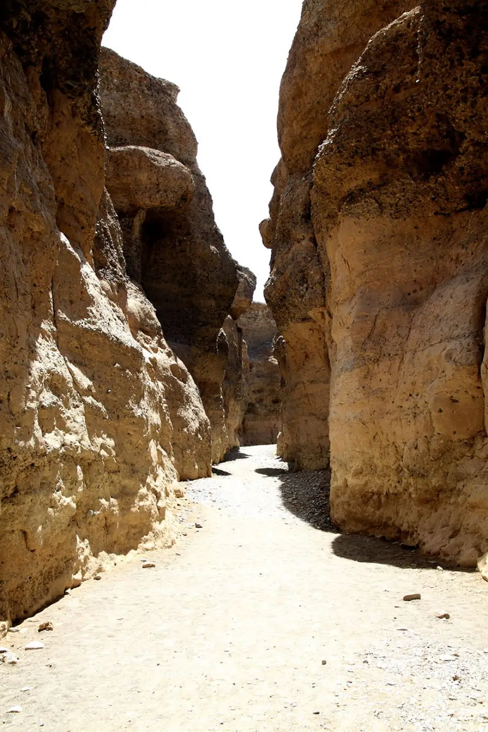 Canyon2.jpg