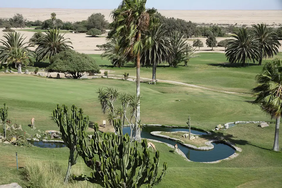 Golf1.jpg