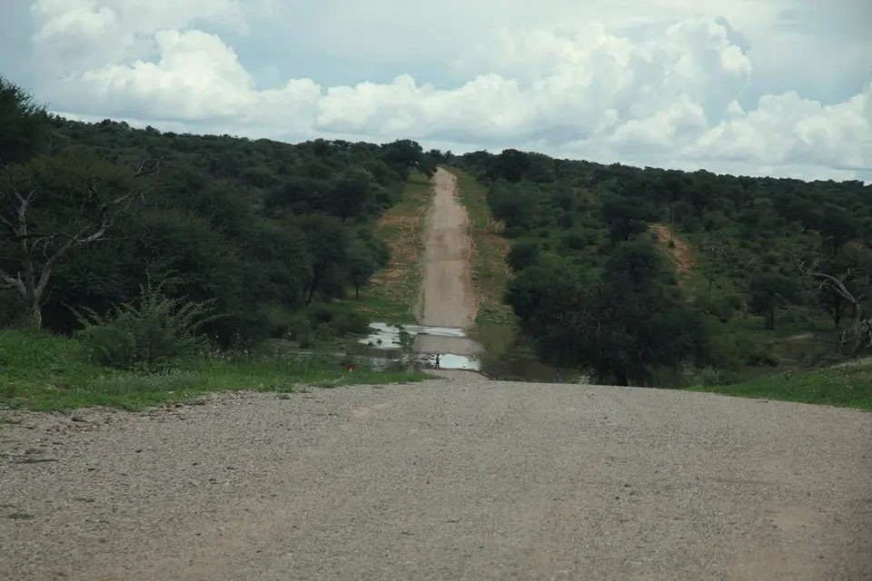 W1.jpg
