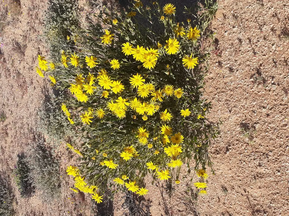 20210808_095214.jpg