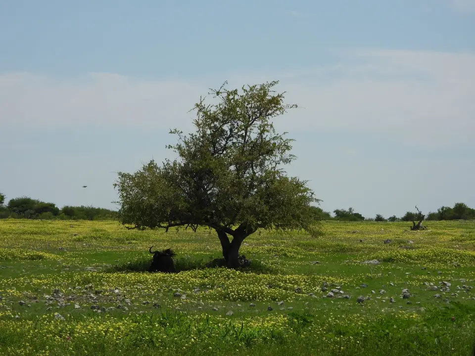 DSCN4140.JPG
