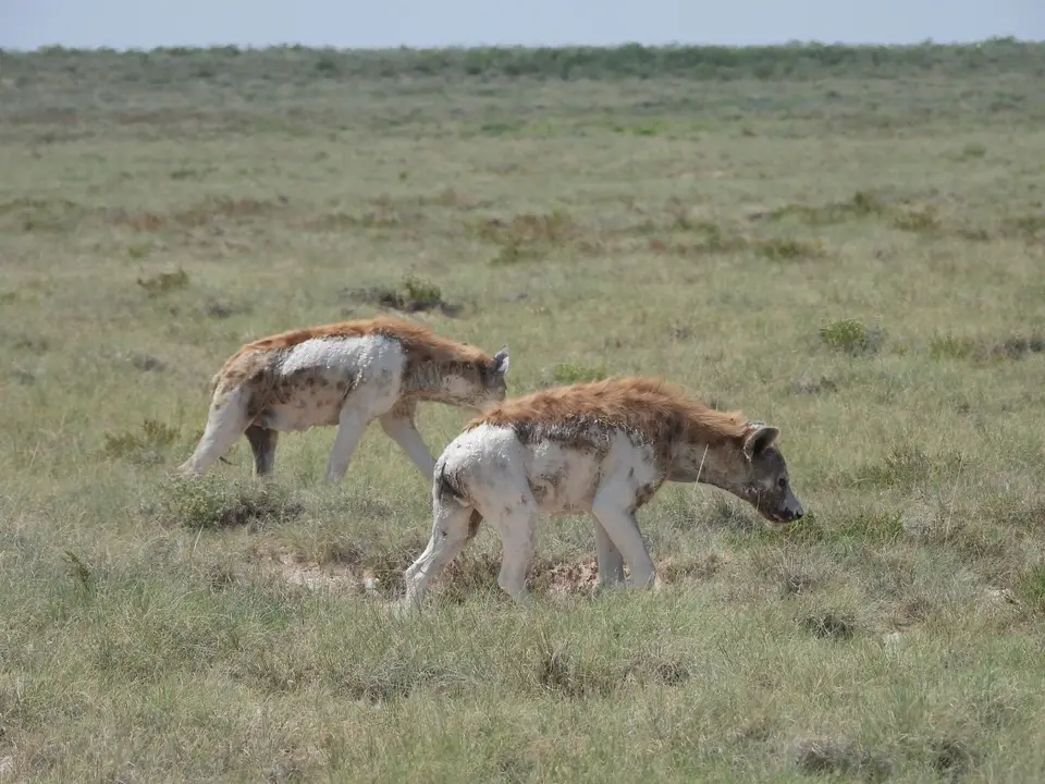 DSCN4562.JPG