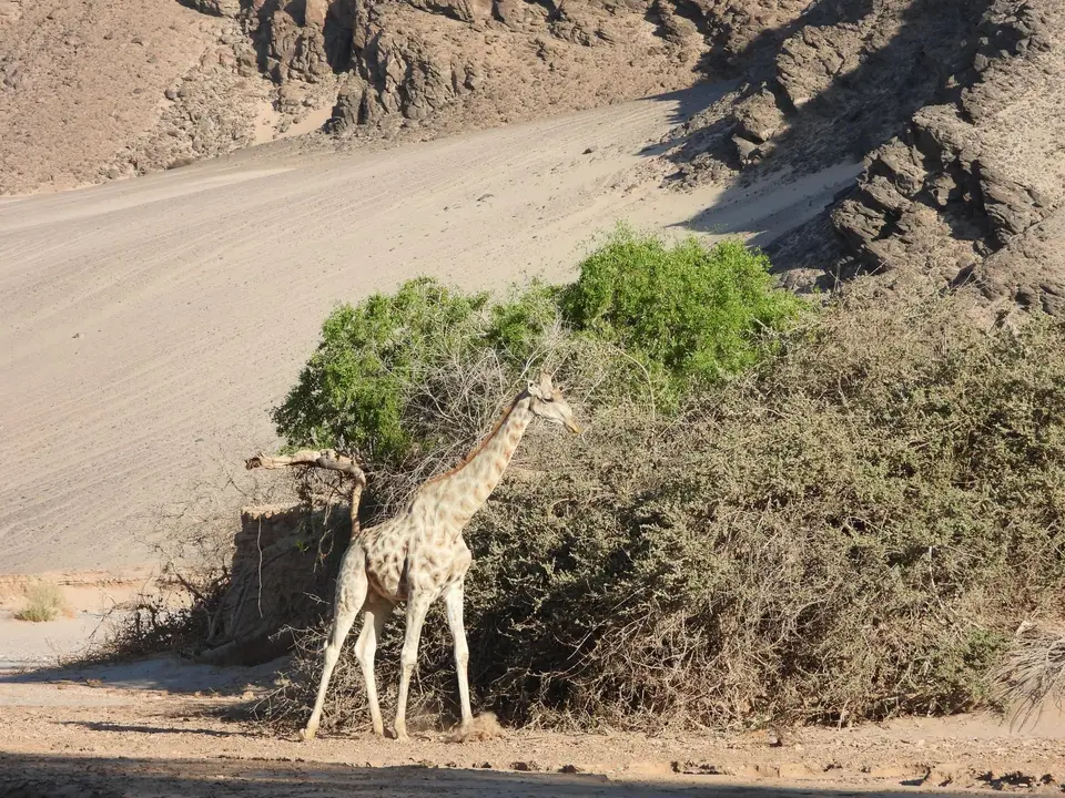 DSCN4928.JPG