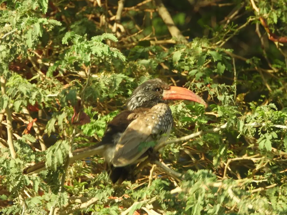 DSCN4937.JPG