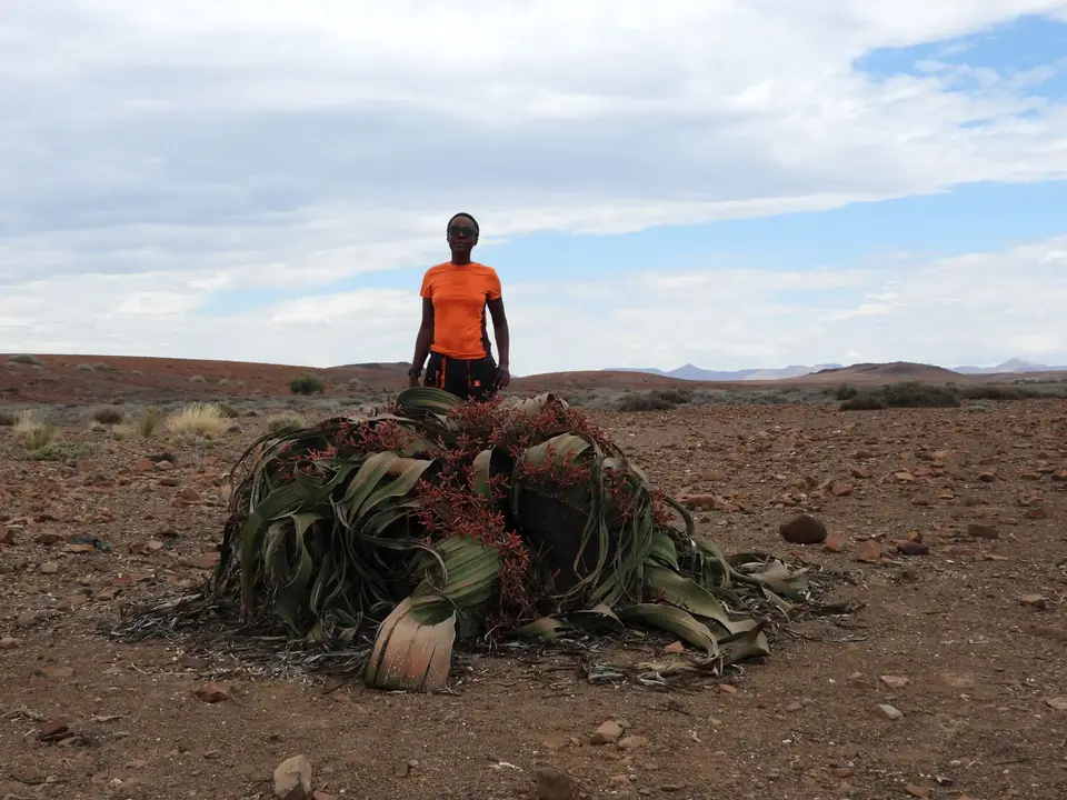 DSCN5008.JPG