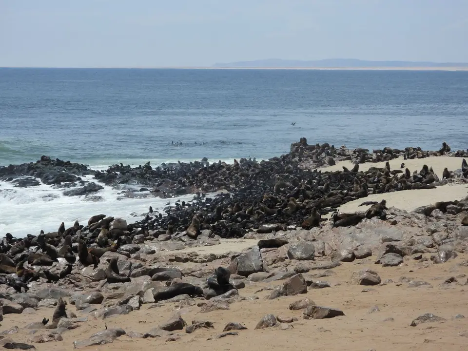 DSCN5320.JPG