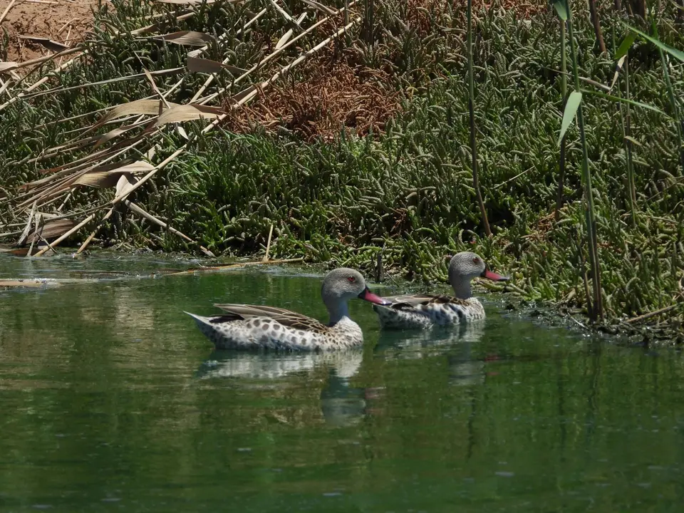 DSCN5412.JPG