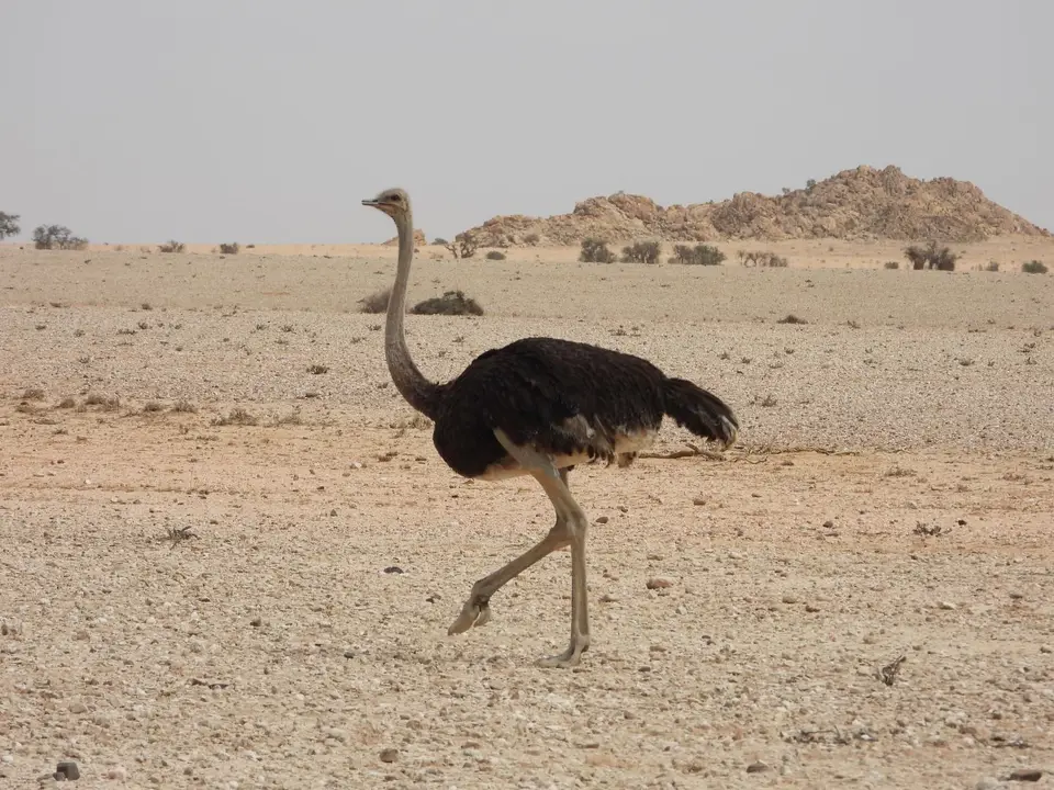 DSCN5555.JPG