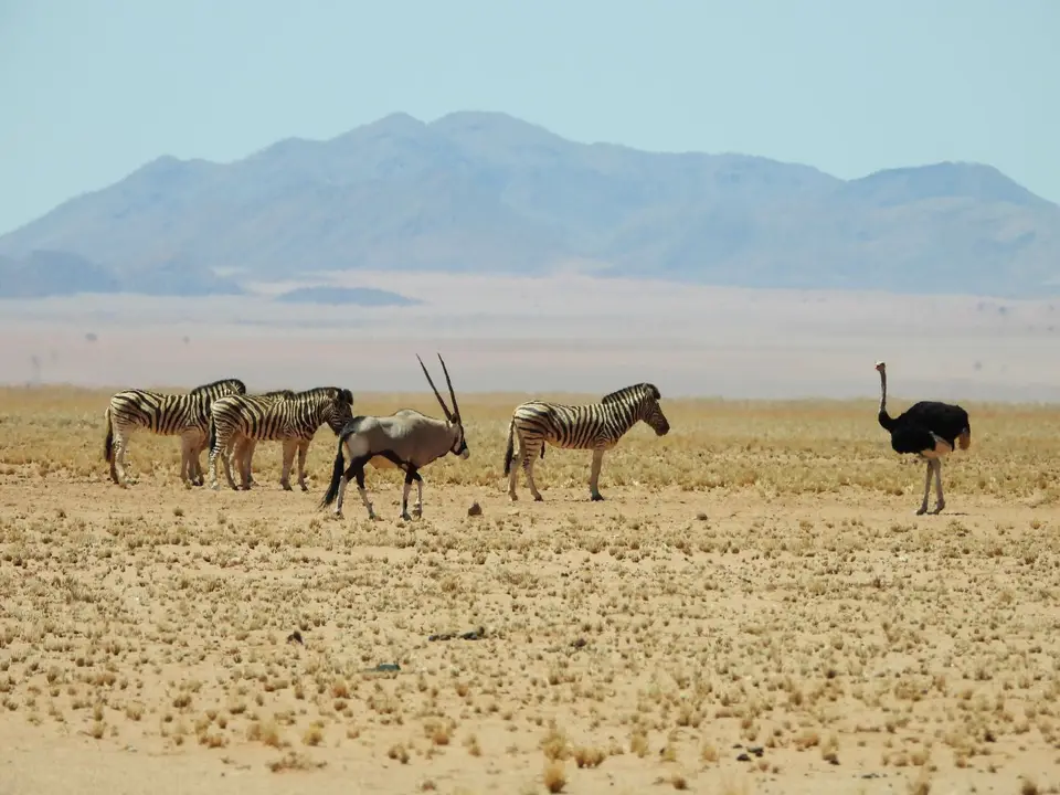 DSCN5637.JPG