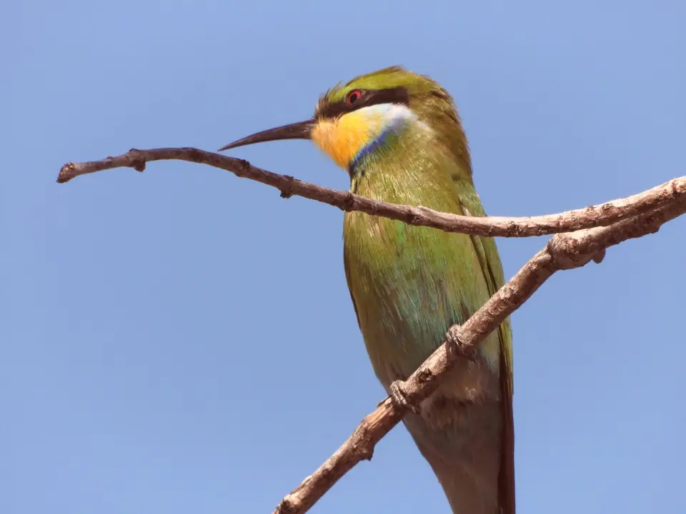 DSCN6073.JPG