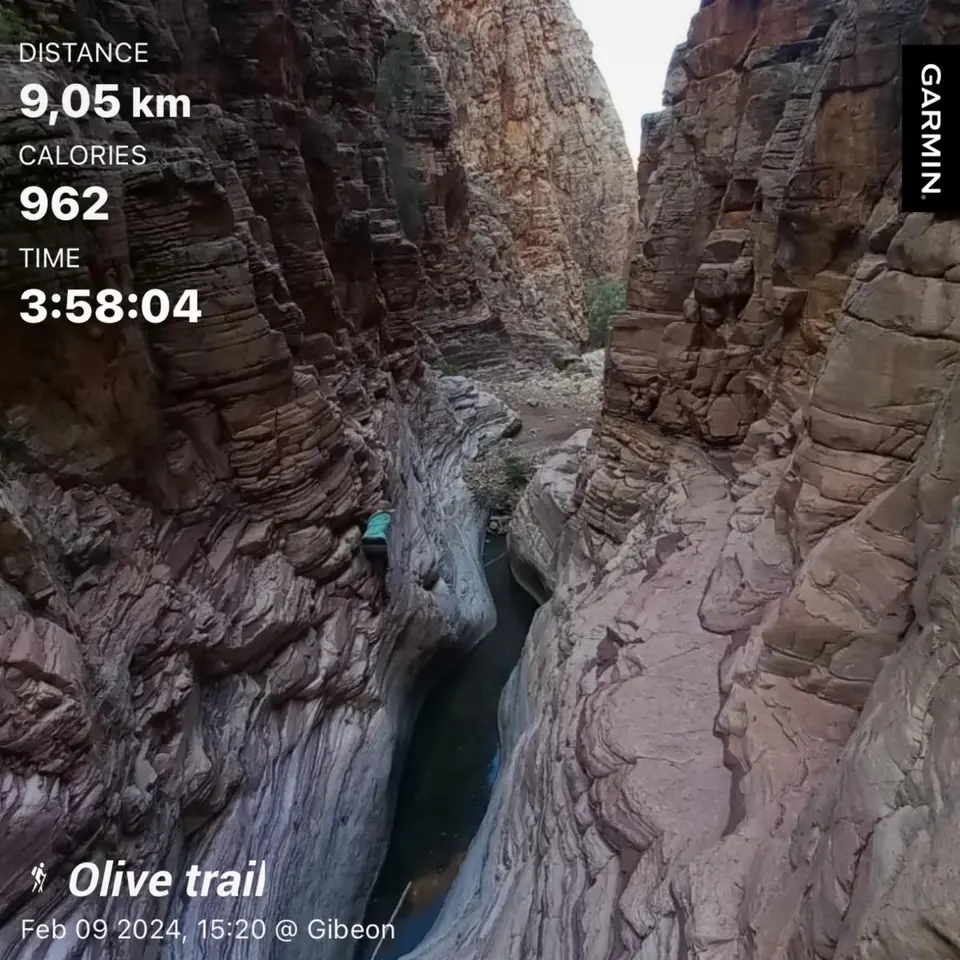 olivetrail.jpg