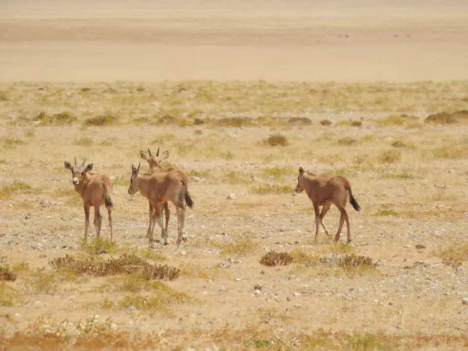 DSCN3951.JPG