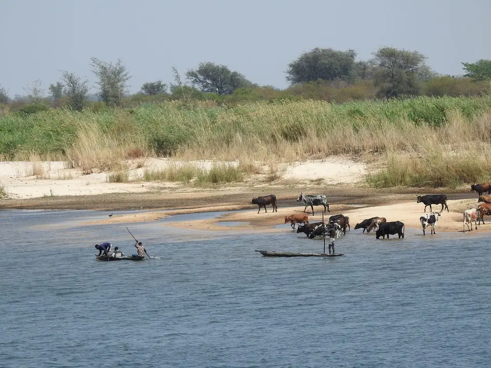 k-241101(2)Zambezi.JPG