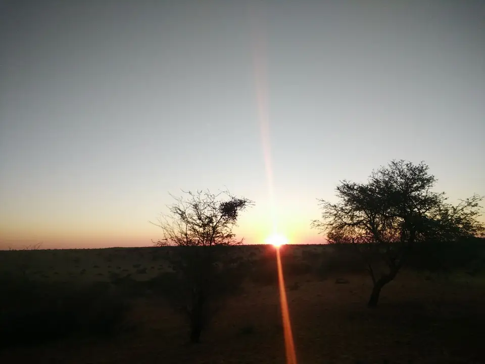 kalahari_1_9_1.jpg