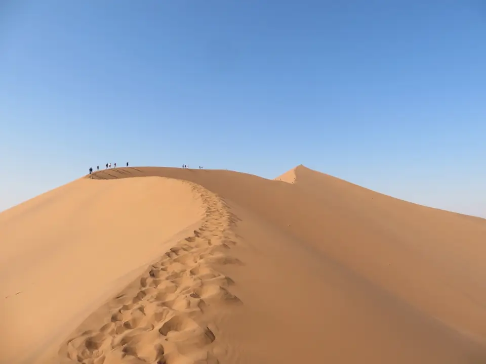 sos_8.jpg