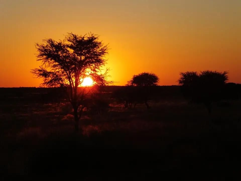 DSCF0426.JPG
