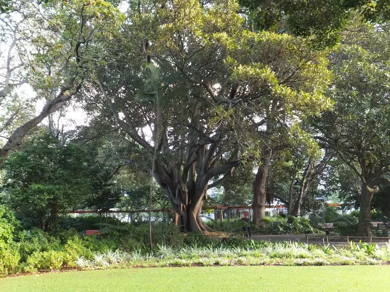 k-DSCF0115.JPG