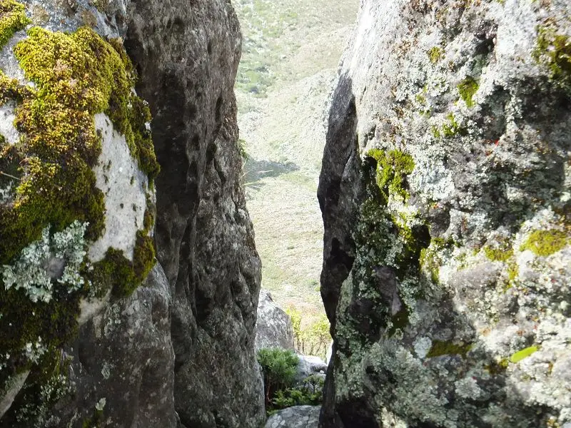 k-DSCF0189.JPG