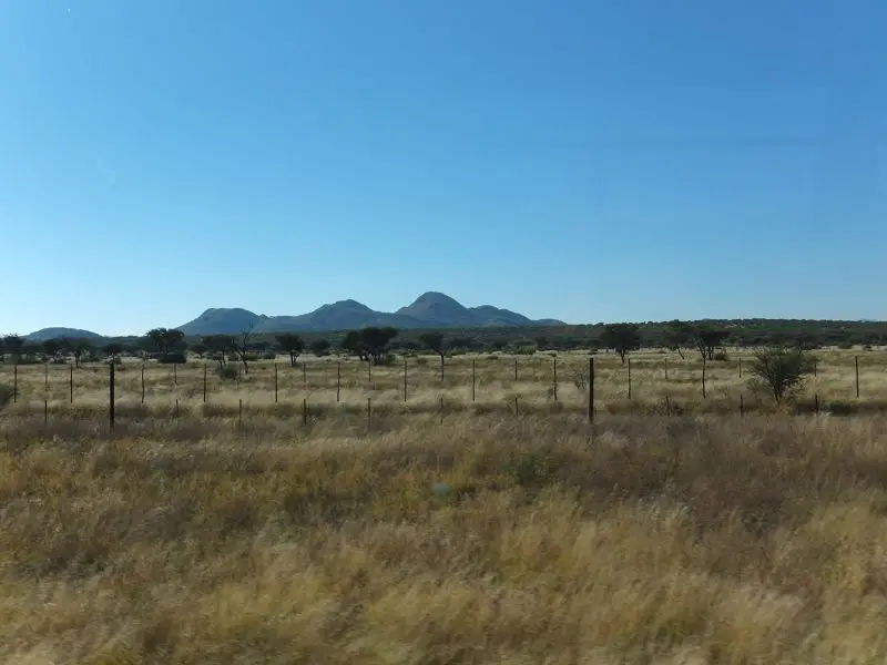 k-DSCF0308.JPG