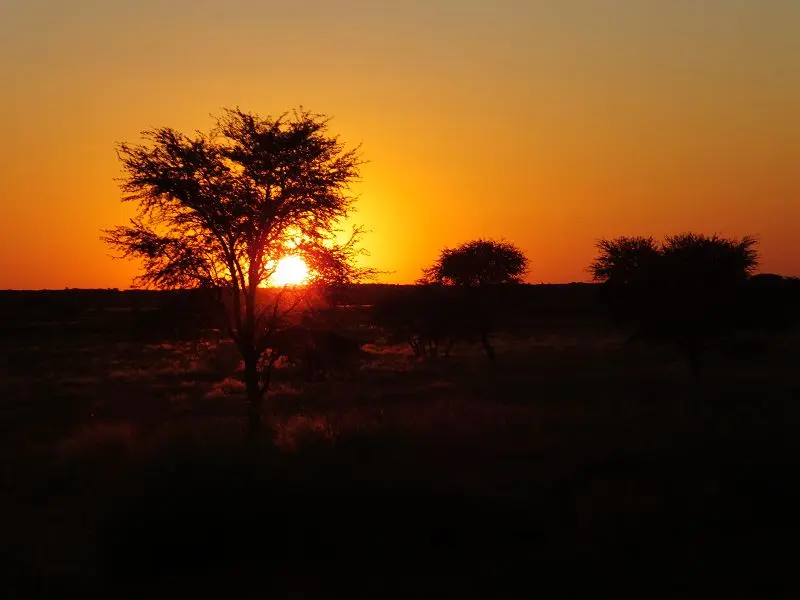 k-DSCF0426.JPG