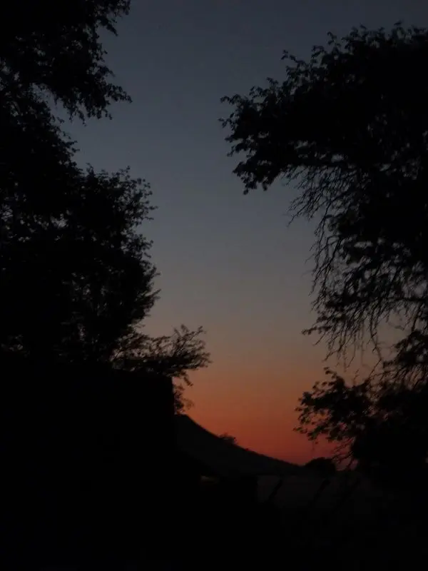 k-DSCF0925.JPG