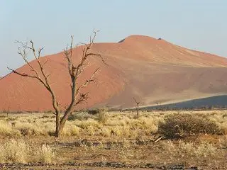 k-DSCF0959.JPG
