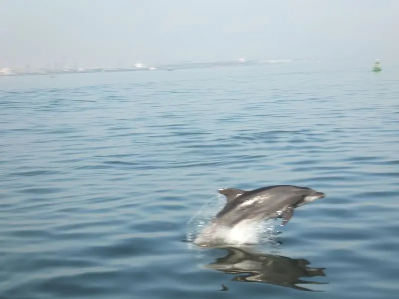 k-DSCF1215.JPG